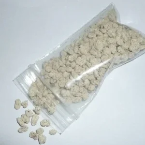 Golden Chanterelle Mushroom Mycelium Spawn on Seeds - Home Grow Kit - Image 2