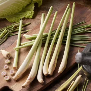 Lemongrass Live Plant Set - 5 Healthy Cymbopogon citratus Starters 4-8