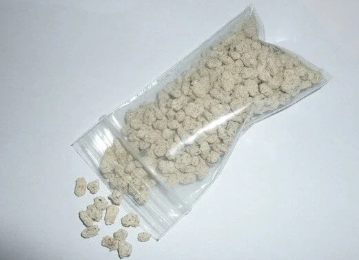 Maitake (Hen of the Woods) Mushroom Spores Mycelium Seed Spawn - Image 2