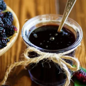 Pakistan Mulberry Tree Live Plant – 4 inch Tall Starter – Morus macroura - Image 6