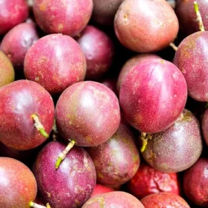 Purple Passion Fruit Live Plant - Passiflora Edulis Vine Starter, 4-6