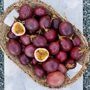 Purple Passion Fruit Live Plant - Passiflora Edulis Vine Starter, 4-6