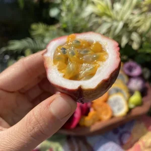 Purple Passionfruit Live Plant Set - 2 Pack, 4-6