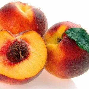 Red Haven Peach Tree Live Plant – Grafted, Potted Edible Fruit Tree, Self-Pollinating, Zones 5-8 - Image 1