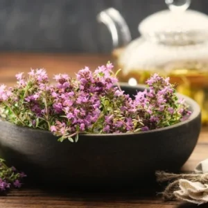 Set of 3 Lemon Thyme Live Plants – 2-6