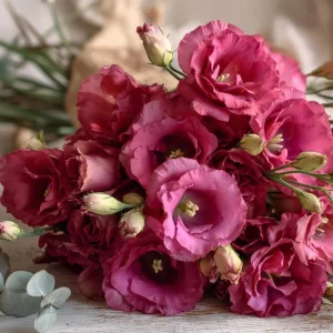 Arena III Red F1 Lisianthus Seeds - 25 Rich Berry Rose Eustoma Grandiflorum - Image 5