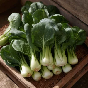 Baby Shanghai Pak Choi Seeds - 150 Count - Fast-Growing Asian Greens - Image 2