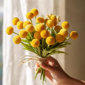 Billy Button Seeds - 50 Pack Craspedia Globosa Yellow Ball Flowers Outdoor - Image 2