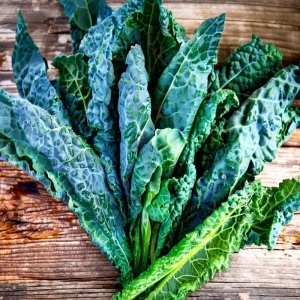 Black Magic Kale Seeds - 300 Count, Cold-Hardy Dark Leafy Greens for Garden - Image 4