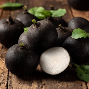 Black Spanish Round Radish Seeds - 250 Heirloom Winter Radish Seeds - Image 4