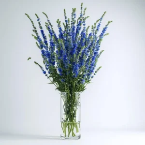 Blue Hyssop Seeds - Hyssopus Officinalis - 250 Count - Garden Pollinator Herb - Image 4