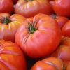 Brandywine Red Tomato Seeds - Heirloom Beefsteak, 30 Seed Pack for Fresh Eating - Image 1