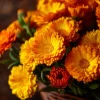 Calendula Pacific Beauty Mix Seeds – Heirloom Pot Marigold – 50+ Seeds – Outdoor - Image 1