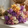 Colorful Statice Seeds Mix - Limonium Sinuatum - 50 Flower Seeds - Image 1