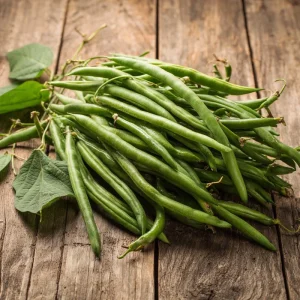 Contender Bush Bean Seeds – Heirloom Green Beans – 30 Seeds – Grow Your Own - Image 3