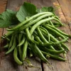 Contender Bush Bean Seeds – Heirloom Green Beans – 30 Seeds – Grow Your Own - Image 1
