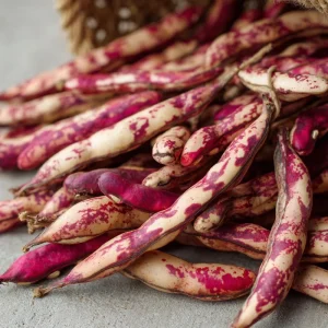 Cranberry Bean Seeds - 20 Count Heirloom Bush Beans for Garden - Image 1