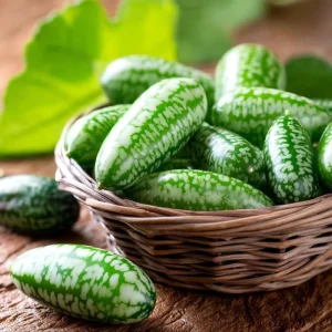 Cucamelon Mouse Melon Seeds - 10 Count - Unique Mini Cucumber-Like Fruits for Gardens - Image 5
