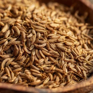 Cumin Seeds - 150 Heirloom Spice Seeds for Cooking & Growing - Outdoor - Image 4