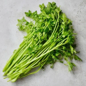 Cutting Celery Seeds - 200 Count, Flavorful Leaf Celery Herb for Gardens & Containers - Image 2