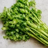 Cutting Celery Seeds - 200 Count, Flavorful Leaf Celery Herb for Gardens & Containers - Image 1