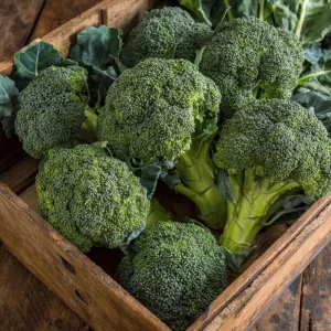 Di Cicco Broccoli Seeds – Heirloom Italian Variety, 200 Seeds, Easy-to-Grow - Image 1