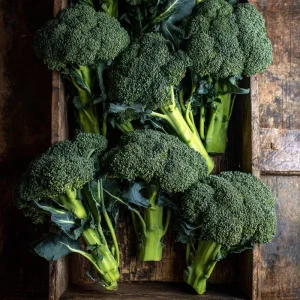 Di Cicco Broccoli Seeds – Heirloom Italian Variety, 200 Seeds, Easy-to-Grow - Image 4