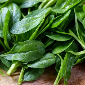 Dutch Corn Salad Seeds - Heirloom Mâche, Cold-Hardy Green - 200 Seeds - Image 4