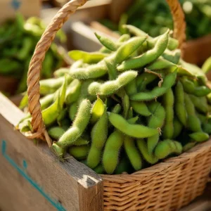 Edamame Seeds - Tender Soybean Seeds - 25 Seed Pack - Easy-to-Grow - Image 4