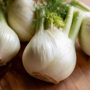 Florence Fennel Seeds – Heirloom Bulbing Finocchio – 200 Seeds for Planting - Image 2