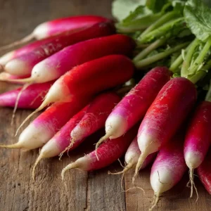 French Breakfast Radish Seeds - 250 Count Heirloom Radishes for Spring & Fall - Image 1