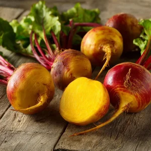 Golden Detroit Beet Seeds - 150 Heirloom Yellow Beets, Easy to Grow, Outdoor - Image 3