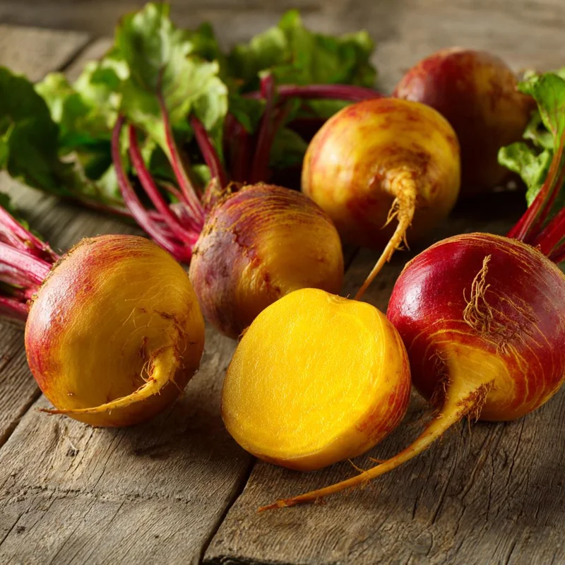 Golden Detroit Beet Seeds - 150 Heirloom Yellow Beets, Easy to Grow, Outdoor - Image 3