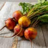 Golden Detroit Beet Seeds - 150 Heirloom Yellow Beets, Easy to Grow, Outdoor - Image 1