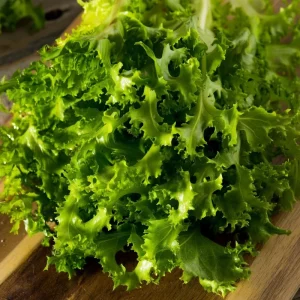 Green Curled Ruffec Endive Seeds - 200 Seeds - Crisp Leafy Greens for Salads - Image 3