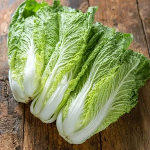 Heirloom Napa Cabbage Seeds - 100 Count - Easy Grow Chinese Cabbage - Image 5