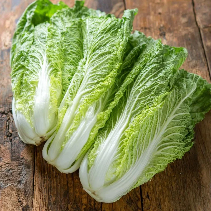 Heirloom Napa Cabbage Seeds - 100 Count - Easy Grow Chinese Cabbage - Image 5