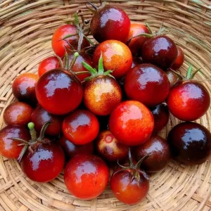 Indigo-Purple Cherry Tomato Seeds - Heirloom Variety - 20 Seeds - Outdoor - Image 2