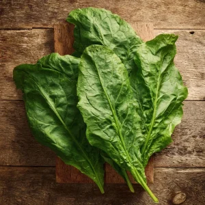 Large Leaf Sorrel Seeds - Heirloom Tangy Greens - Approx 200 Seeds - Image 5