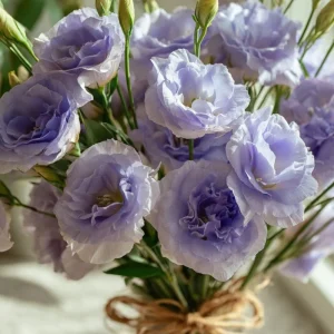 Lavender Lisianthus Seeds - Eustoma Grandiflorum, Pale Lavender, 25 Seeds - Image 2