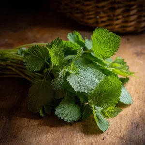 Lemon Balm Seeds - Melissa officinalis - 150 Seed Packet - Fragrant Tea Herb - Image 5