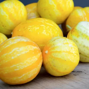 Lemon Cucumber Seeds - 30 Heirloom Cucumis Sativus Seeds for Gardens & Containers - Image 3