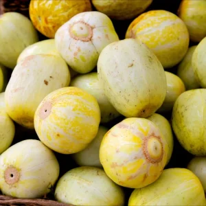 Lemon Cucumber Seeds - 30 Heirloom Cucumis Sativus Seeds for Gardens & Containers - Image 4