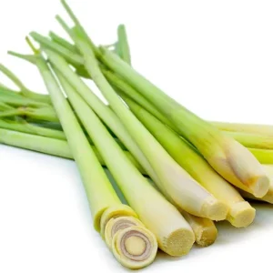 Lemon Grass Live Plant - 2 Plants, 10 Inch Tall in 4 Inch Pot - Fresh Herb - Image 2