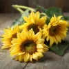 Lemon Queen Sunflower Seeds - Heirloom Helianthus annuus, 25 Seeds, Outdoor - Image 1