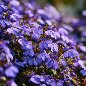 Lobelia Crystal Palace Seeds - Violet-Blue Edging Flowers, 50 Seeds - Image 5