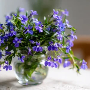 Lobelia Crystal Palace Seeds - Violet-Blue Edging Flowers, 50 Seeds - Image 1