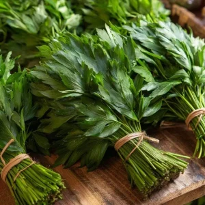 Lovage Seeds (Levisticum officinale) - 50 Seeds - Culinary & Medicinal Herb - Image 1