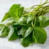 Malabar Spinach Seeds - Basella Alba Edible Climbing Vine - 50 Seeds - Image 1