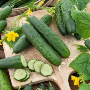 Marketmore Cucumber Live Plant - Heirloom Slicing Vegetable, 4-6 Inch Tall, 4